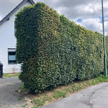 Appartement Zum Belgenbachtal *